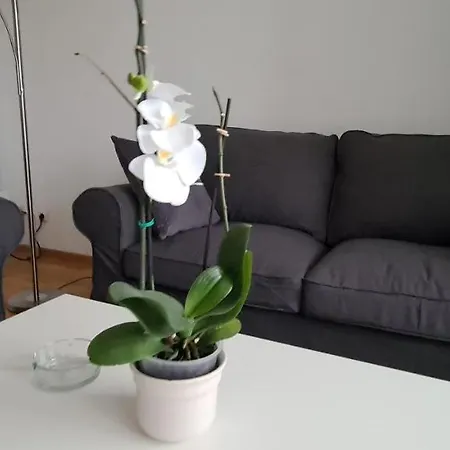 Apartment Good And Night